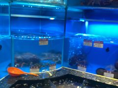 -協成海鮮火鍋(老店)