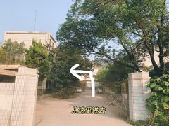 -树山生态村