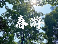 -重庆彩云湖湿地公园