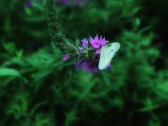 -苏州河梦清园环保主题公园