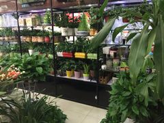 -花辰月夕花坊(北滨路店)