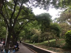 -元大都城垣遗址公园