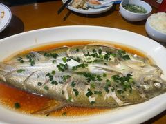 清蒸白水鱼-三凤酒家·百年无锡菜(清扬茂业店)