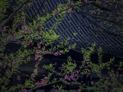 -常德桃花源景区