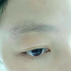 -MIVI野生眉纹绣纹眉