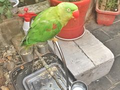 -丽江庭院之丽江往事(安定门店)