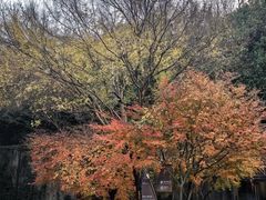 -中国湿地博物馆