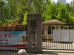 -大望京公园