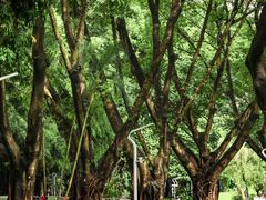 -人民公园(罗湖区)