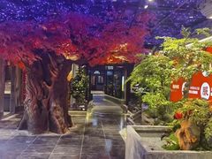 -亳府大院(亳州店)