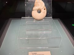 -辽宁省博物馆