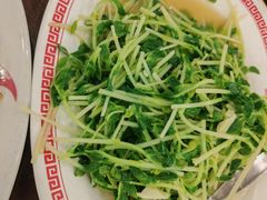 -中国城银都鱼翅酒楼