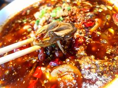 -望京一号·重庆江湖菜(工体店)