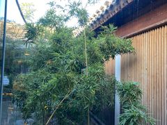 -曲廊院(东四十一条店)