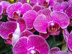 -南通洲际绿博园