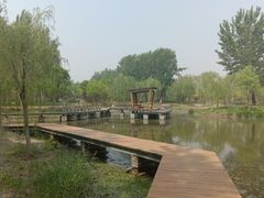 -东郊湿地公园