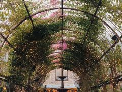 -The Grounds of Alexandria