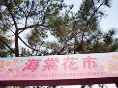 -海棠花溪(元大都城垣遗址公园)