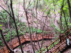 -大岭沟猕猴桃谷风景区