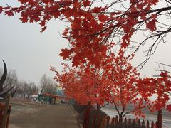 -葫芦古镇关东民俗雪乡