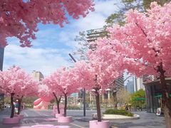 -东莞松山湖万象汇