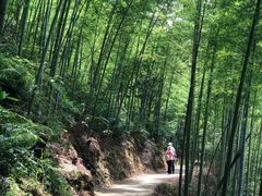 -千泷沟大瀑布旅游区