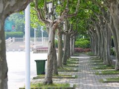 -大宁郁金香公园-停车场