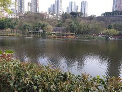 -重庆彩云湖湿地公园