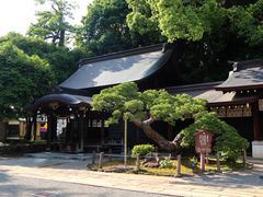 -水前寺成趣园