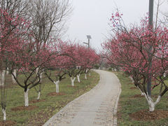 -大蜀山国家森林公园