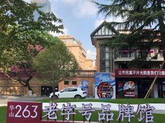 -华山263老字号品牌馆