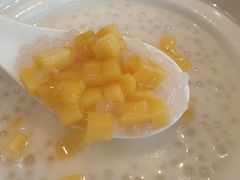 木瓜椰汁西米露-香山湖家家宴(中山陵店)