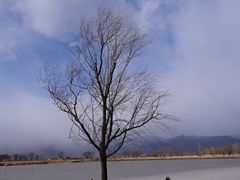 -野鸭湖国家湿地公园