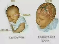 -大班家政月嫂育儿嫂(总部店)