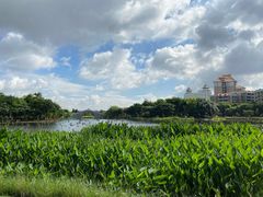 -映月湖公园