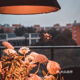 花厨•探店| 颜值与实力并存&浪漫约会餐厅