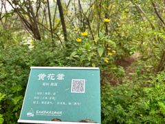 -翠湖国家城市湿地公园