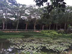 -北京师范大学(珠海校区)