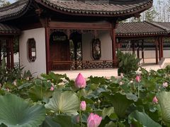 -上海滨江森林公园