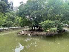 -黔灵山公园