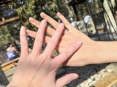 -春晖园度假酒店温泉