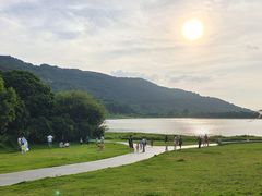 -风云岭森林公园