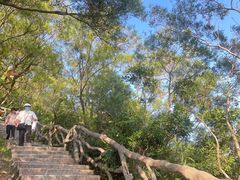 -梧桐山风景名胜区