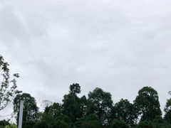 -秀丽东方