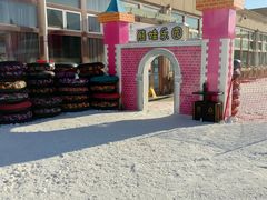 -蓟洲国际滑雪场