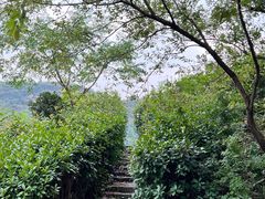 -姚家山旅游风景区