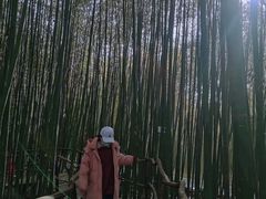 -竹泉村旅游度假区