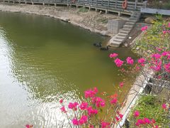 -广州市帽峰山景区