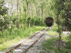 -合肥滨湖国家森林公园