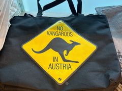 -维也纳国际机场